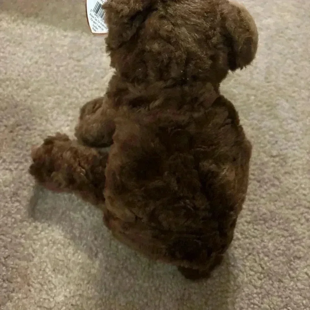 Large Beanie Baby Cocoa The Brown Bear 1996